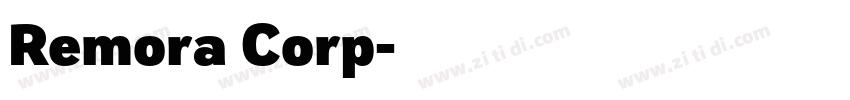 Remora Corp字体转换